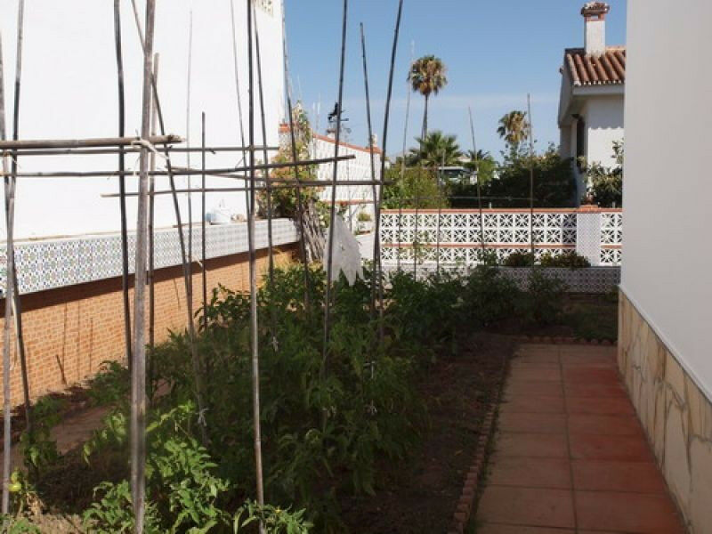 Detached Villa Chilches Málaga - image 9