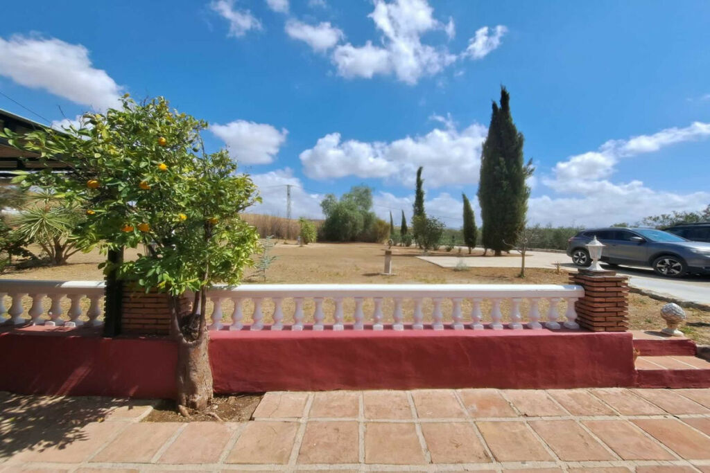 Finca - Cortijo Coín Málaga - image 9