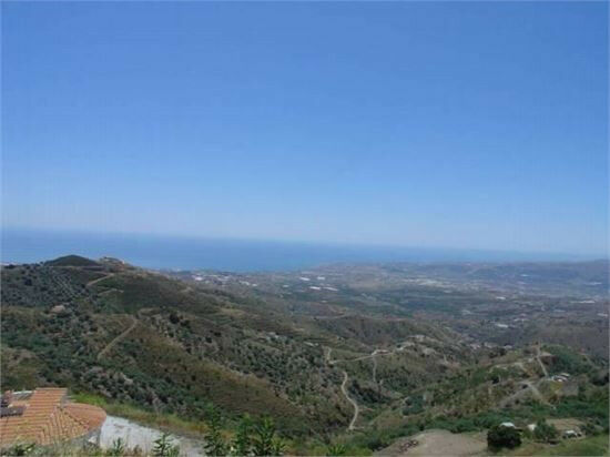 Finca - Cortijo Algarrobo Málaga - image 9