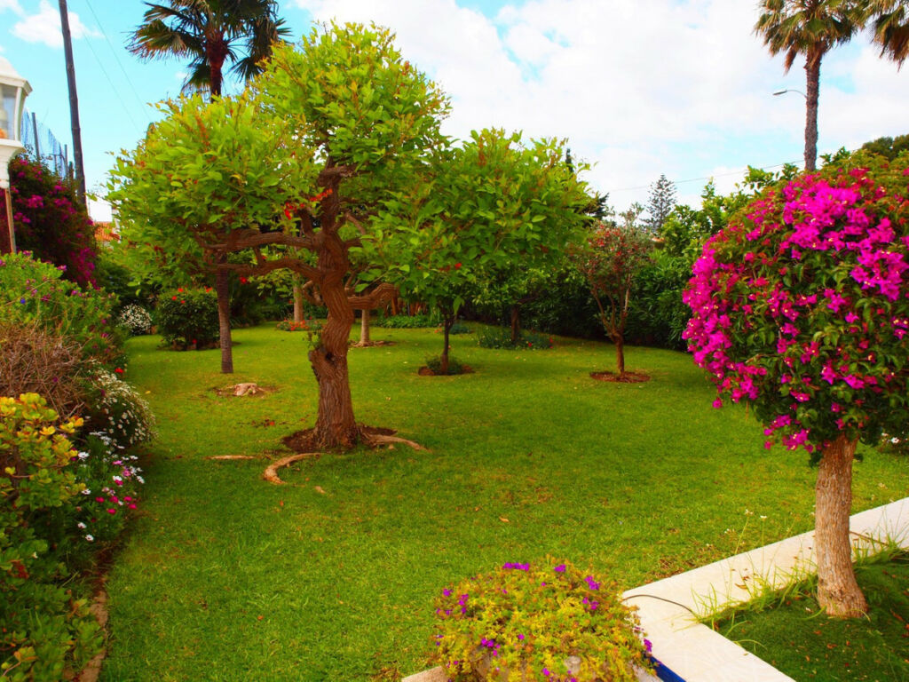 Detached Villa Benajarafe Málaga - image 9