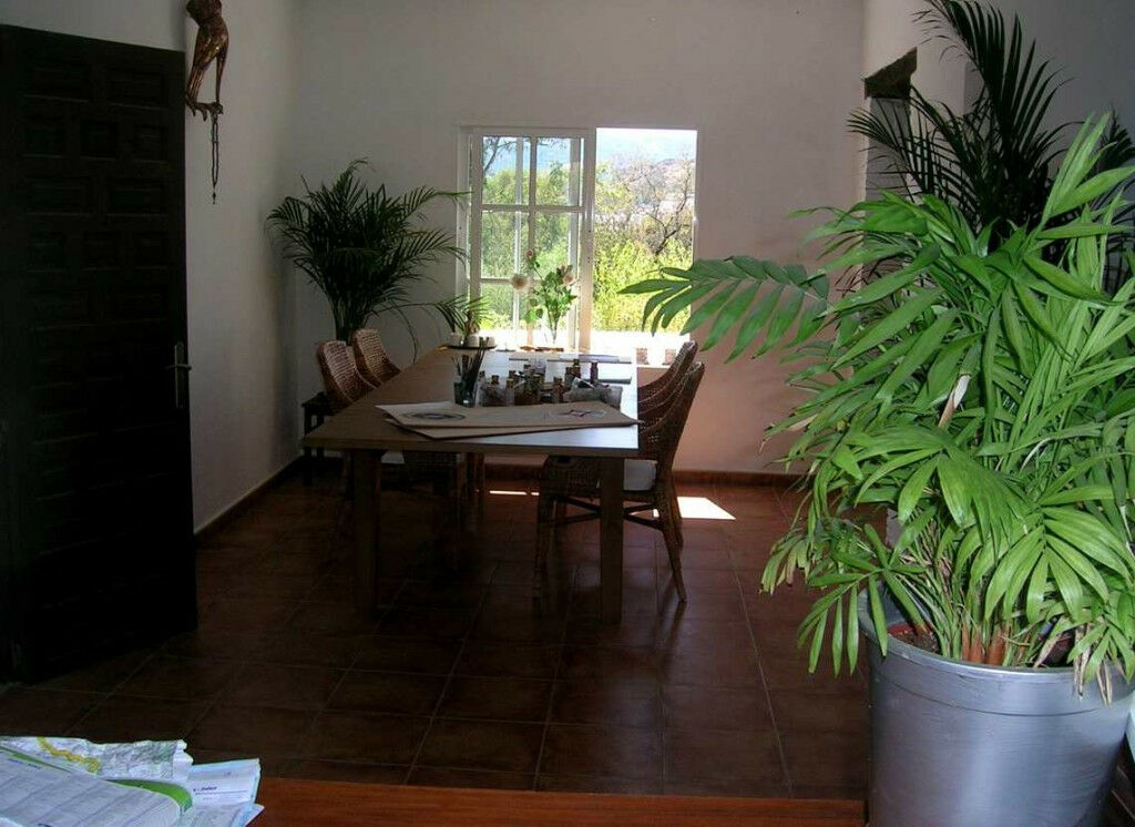 Finca - Cortijo Jimena de la Frontera Cádiz - image 9