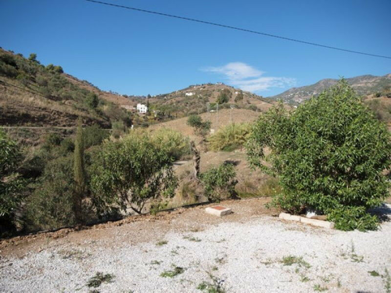 Detached Villa Cómpeta Málaga - image 9