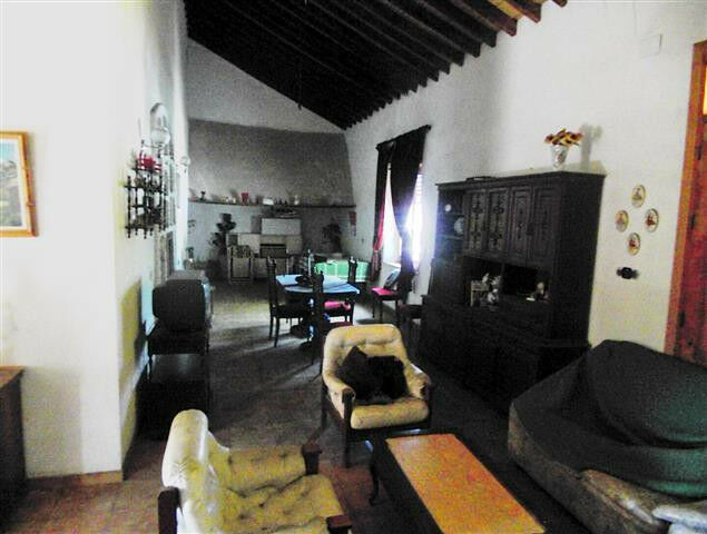 Finca - Cortijo Vélez-Málaga Málaga - image 9