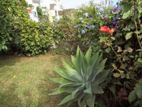Semi-Detached House Rincón de la Victoria Málaga - image 9