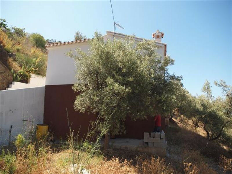 Finca - Cortijo Algarrobo Málaga - image 9