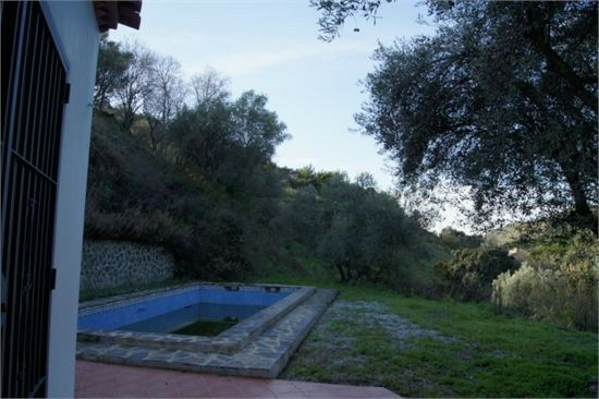 Finca - Cortijo Cómpeta Málaga - image 6