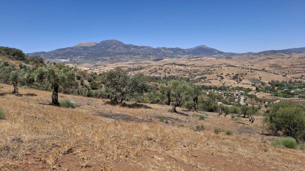 Land Coín Málaga