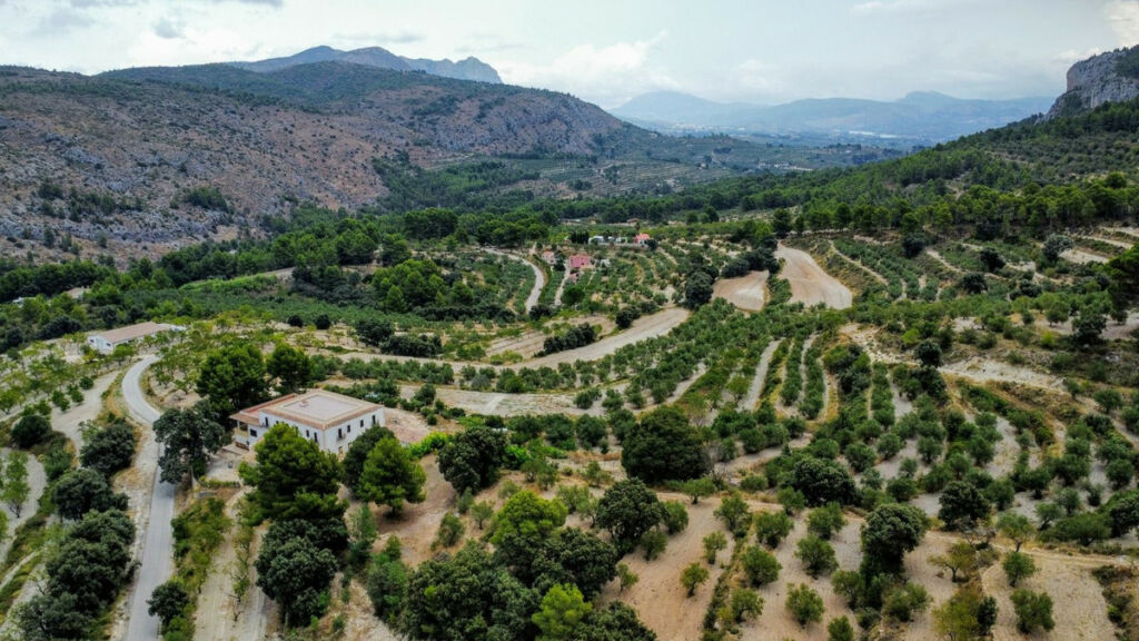 Finca - Cortijo Muro de Alcoy Alicante - image 10