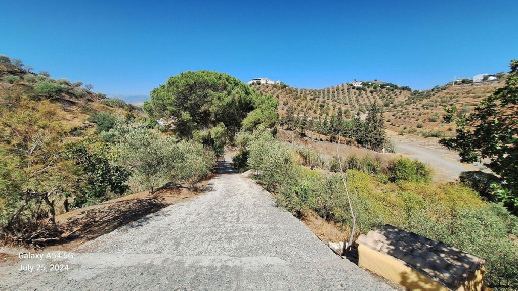 Finca - Cortijo Alora Málaga - image 10