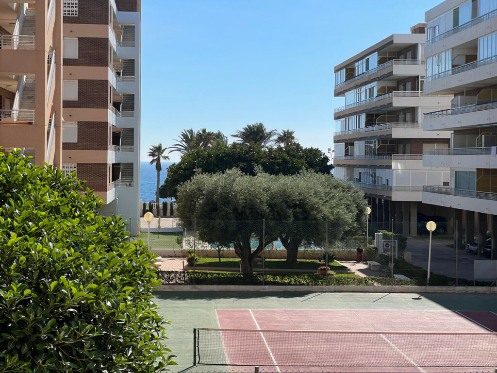 Ground Floor Apartment La Veleta Alicante - image 12