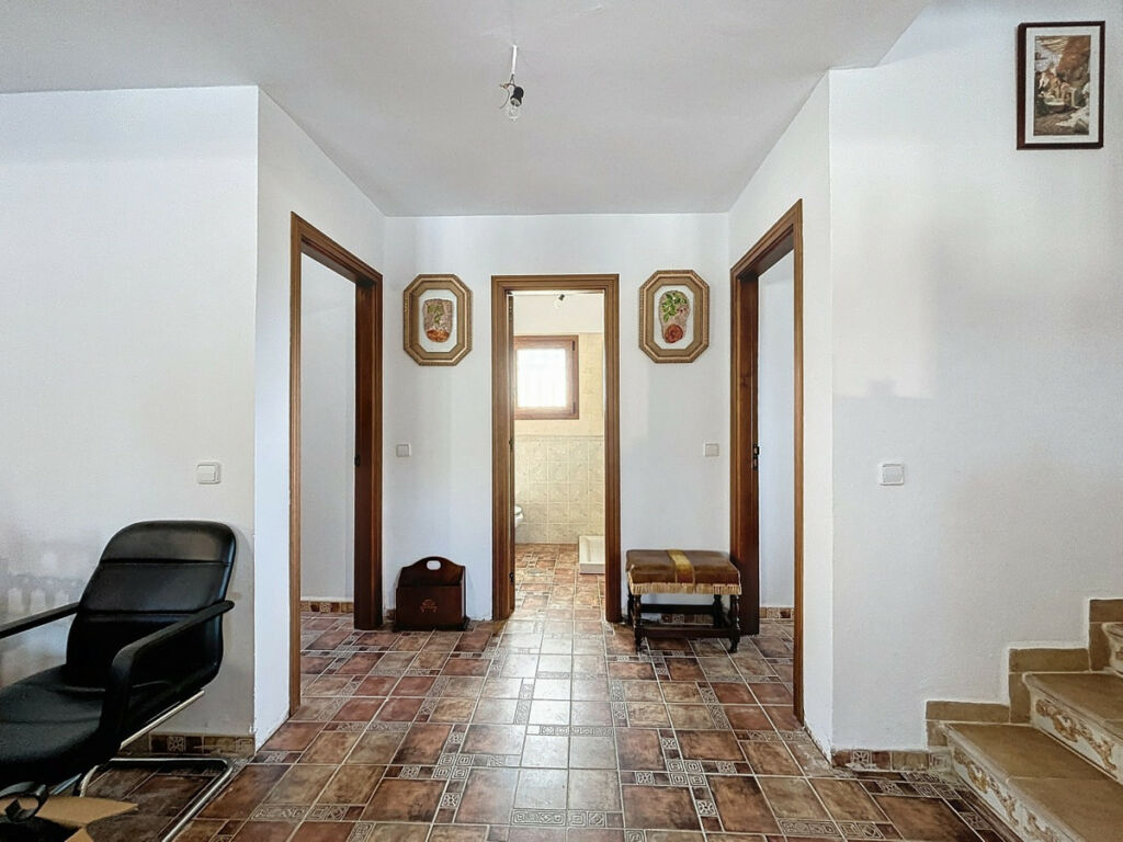 Detached Villa Alcaucín Málaga - image 13