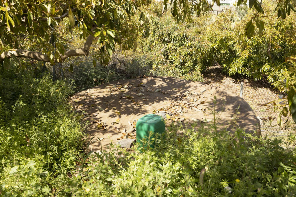Finca - Cortijo Algarrobo Málaga - image 13