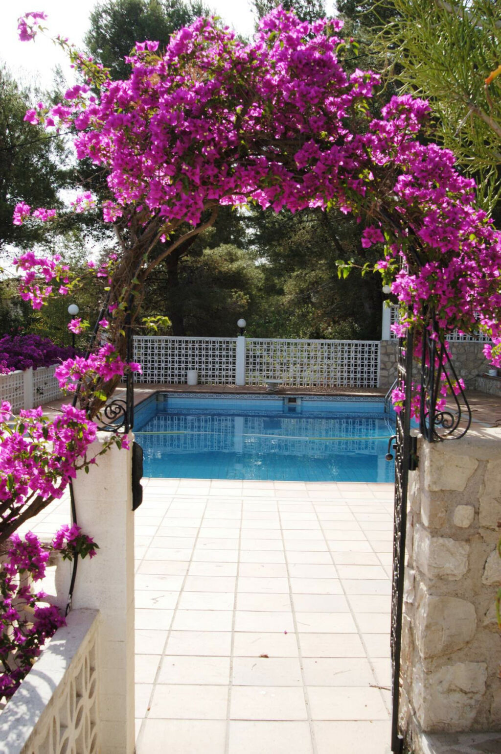 Detached Villa Denia Alicante - image 13