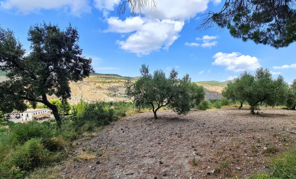 Finca - Cortijo Muro de Alcoy Alicante - image 13