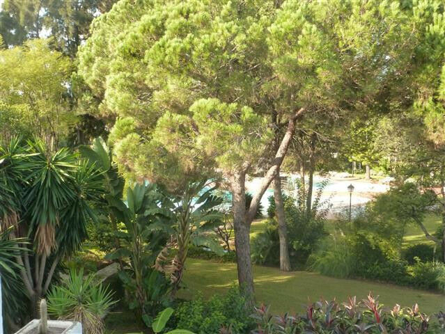 Penthouse Guadalmina Baja Málaga - image 14