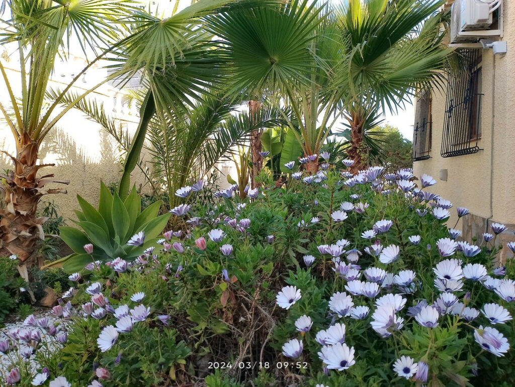 Detached Villa Los Balcones Alicante - image 14