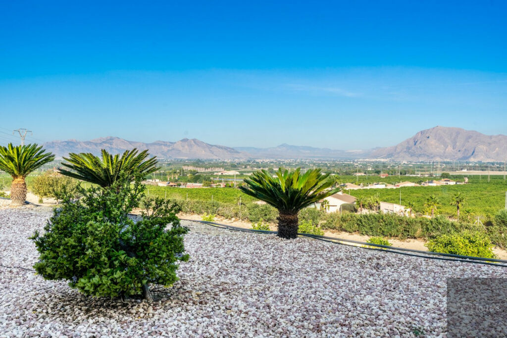 Detached Villa Benejuzar Alicante - image 14