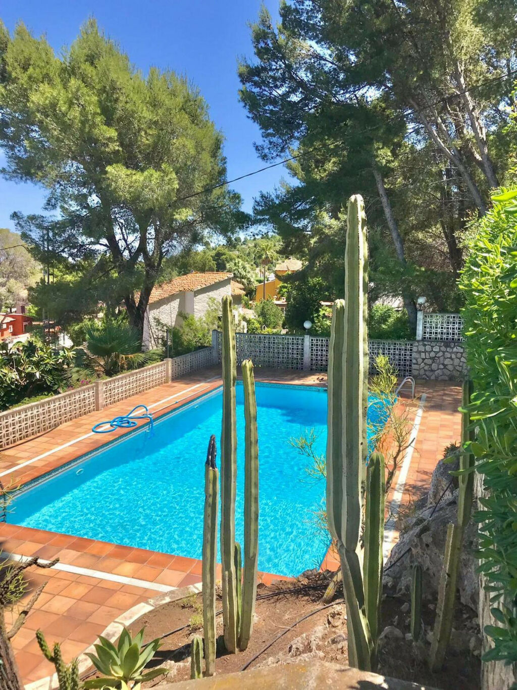 Detached Villa Denia Alicante - image 14