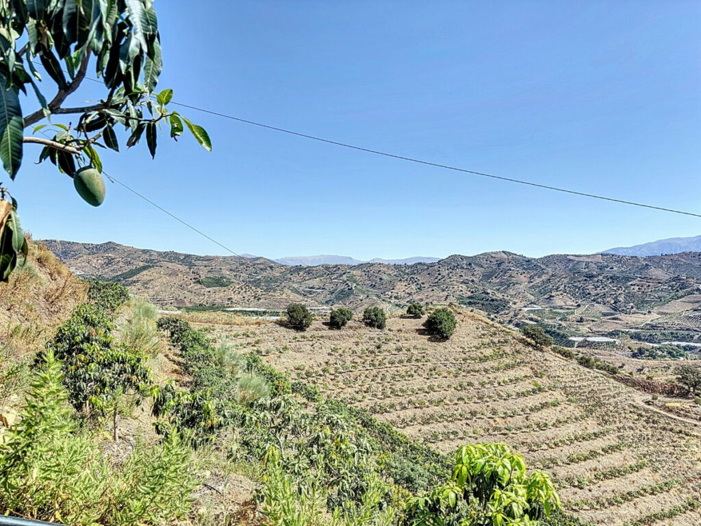 Land Cajiz Málaga - image 15
