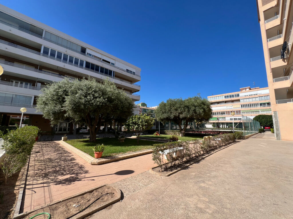 Ground Floor Apartment La Veleta Alicante - image 15