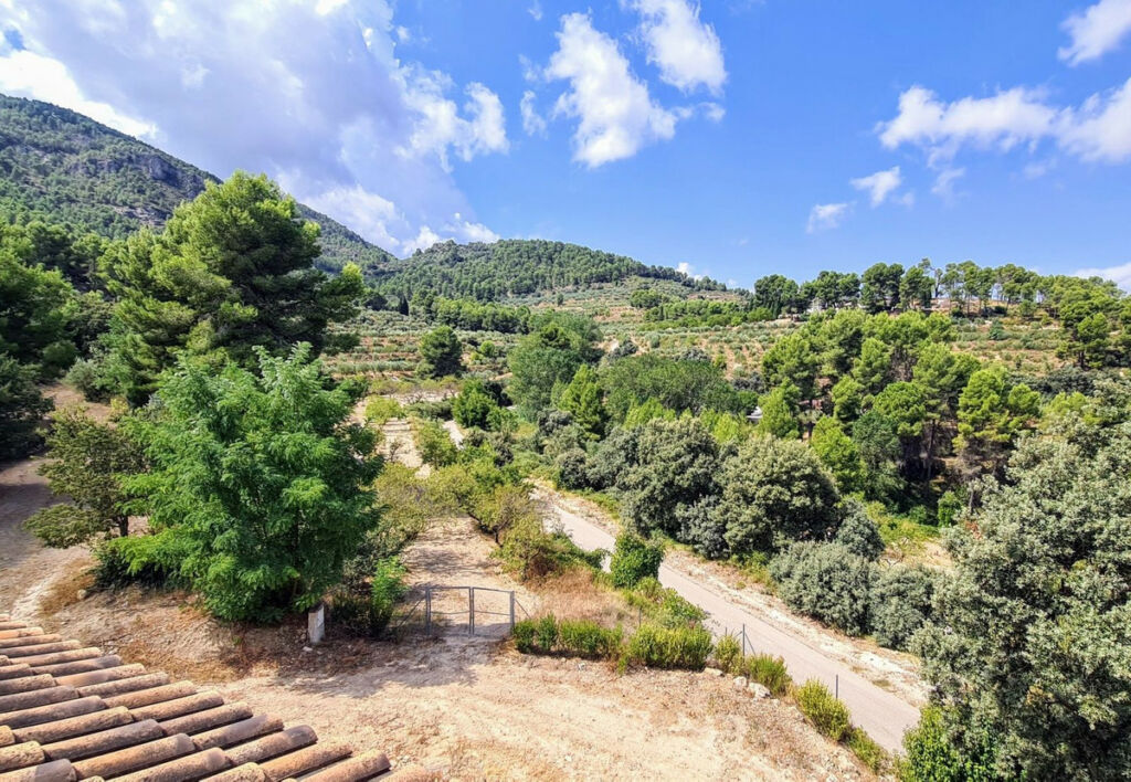Finca - Cortijo Muro de Alcoy Alicante - image 16