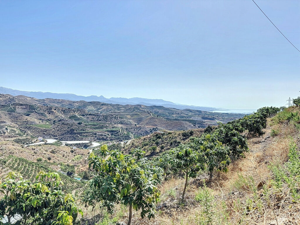 Land Cajiz Málaga - image 16
