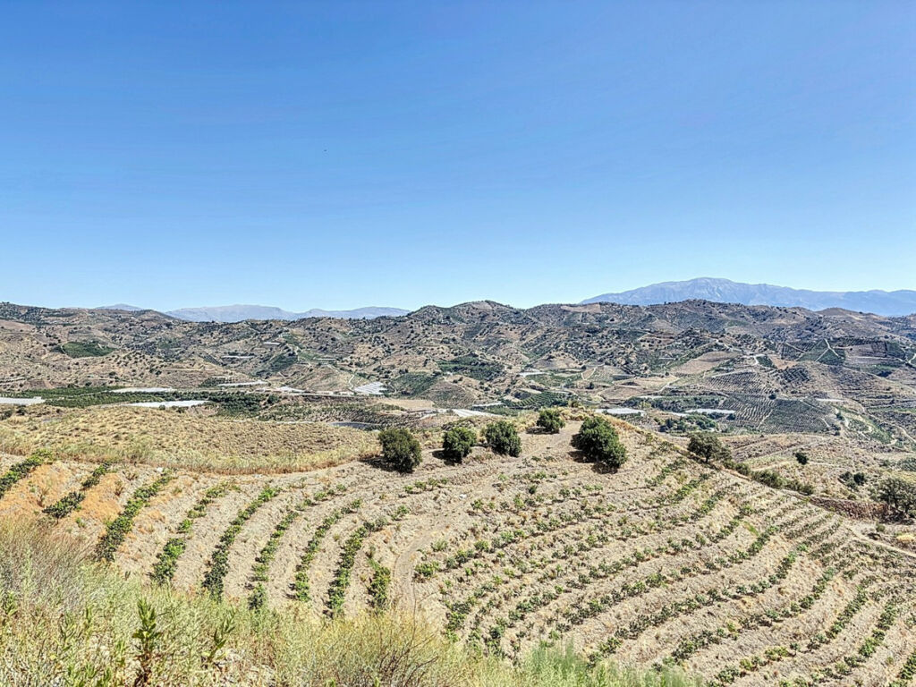 Land Cajiz Málaga - image 17