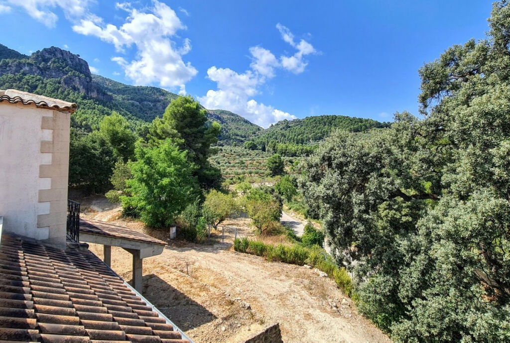 Finca - Cortijo Muro de Alcoy Alicante - image 17