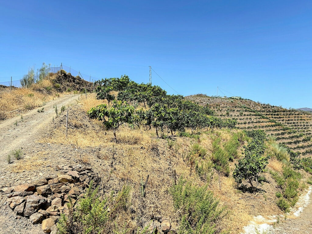 Land Cajiz Málaga - image 18