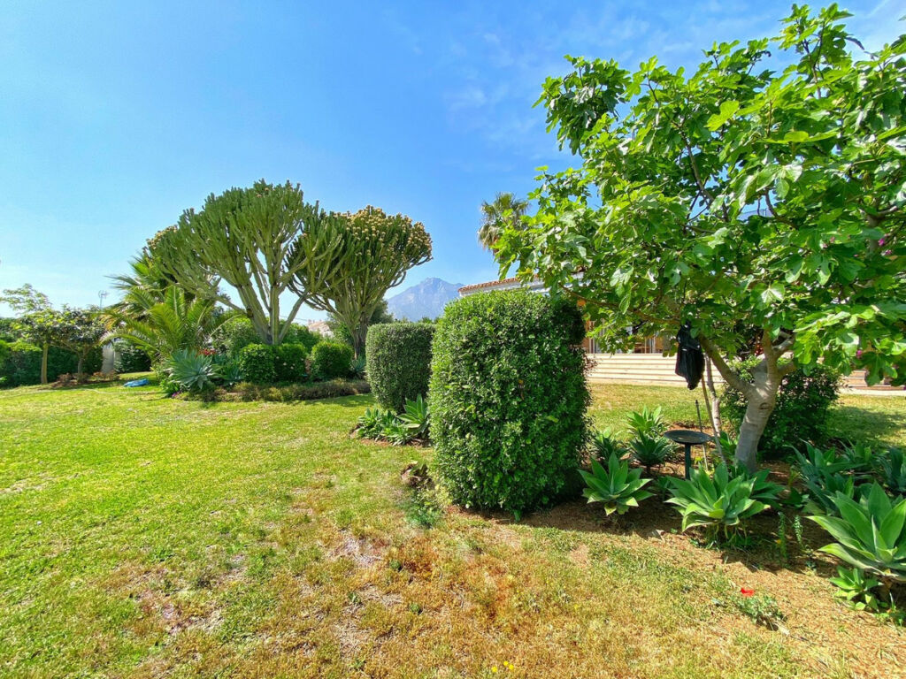 Detached Villa Marbella Málaga - image 18