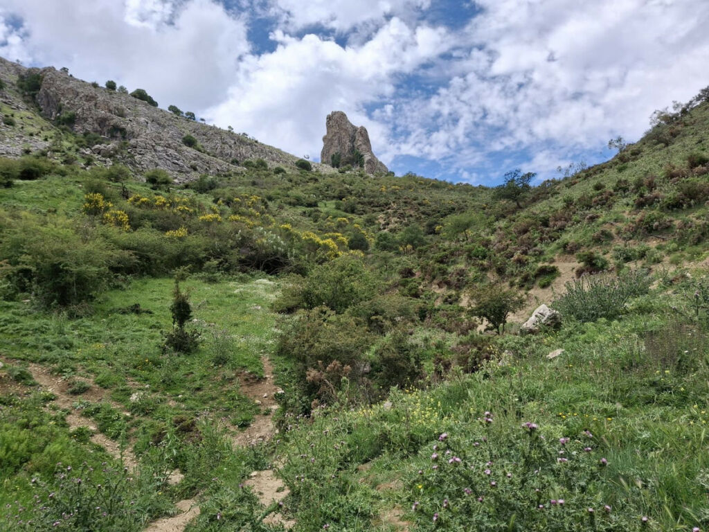 Land Alfarnatejo Málaga - image 17