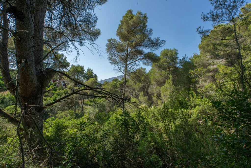 Land Javea Alicante - image 2