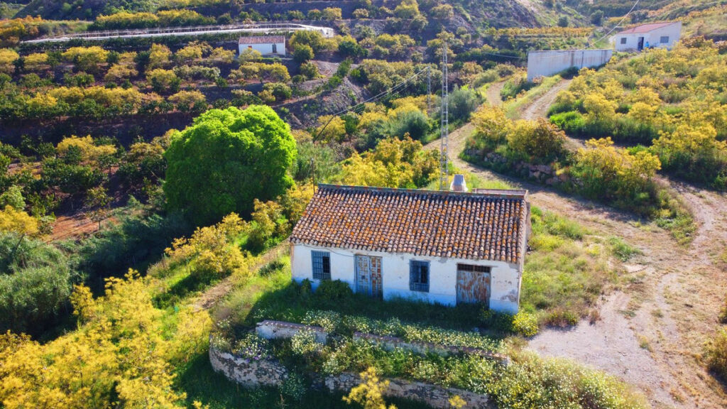 Finca - Cortijo Algarrobo Málaga - image 2