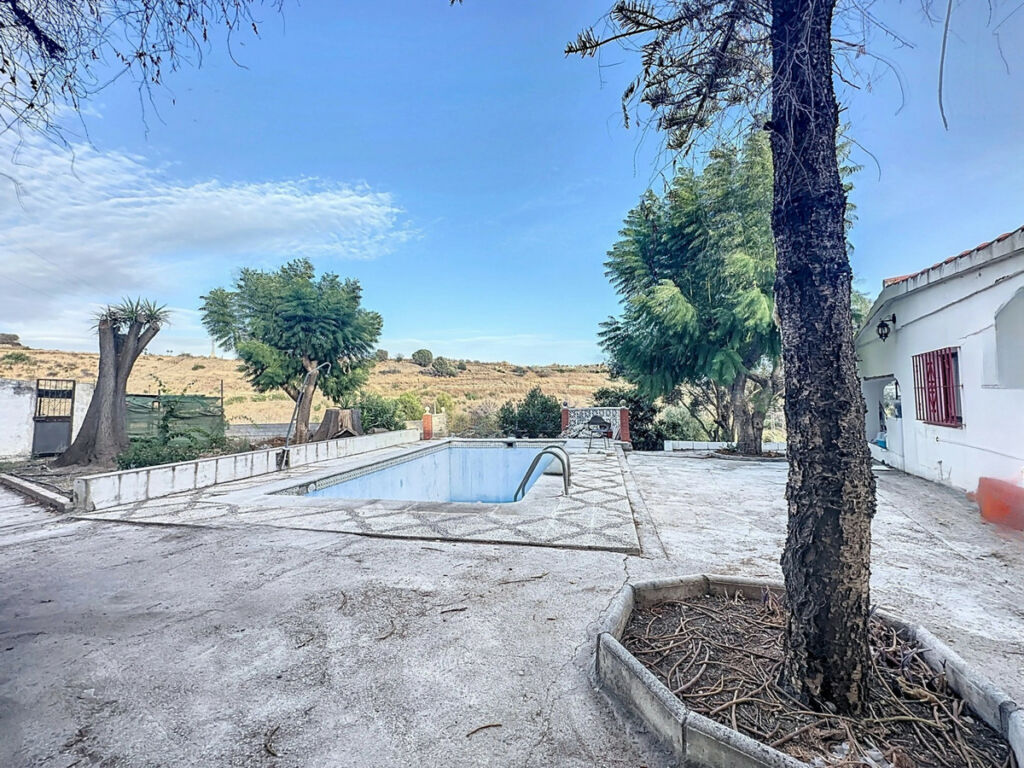 Farm Estepona Málaga - image 5
