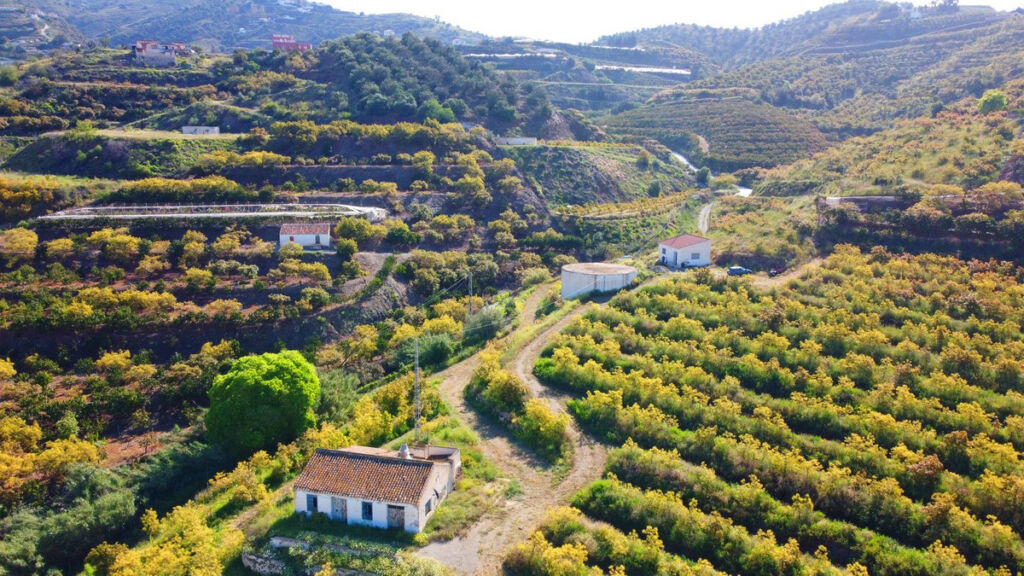 Finca - Cortijo Algarrobo Málaga - image 20