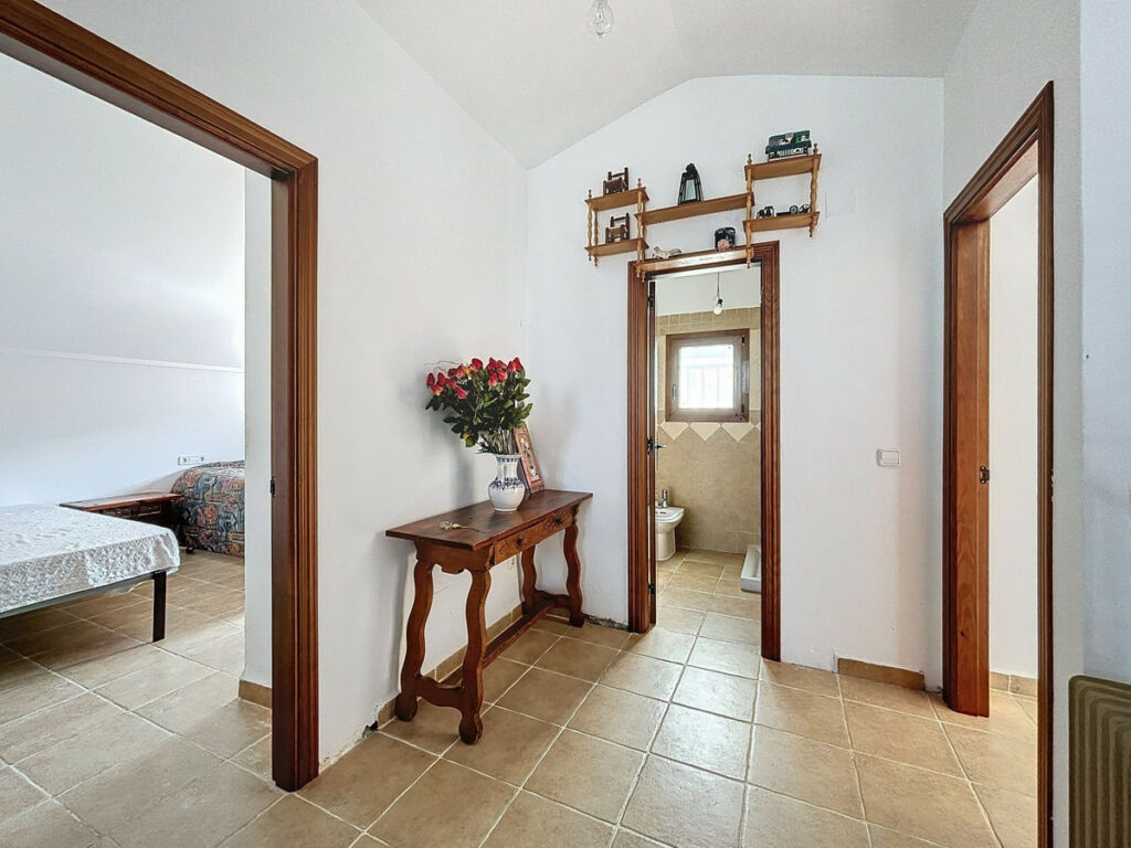 Detached Villa Alcaucín Málaga - image 20