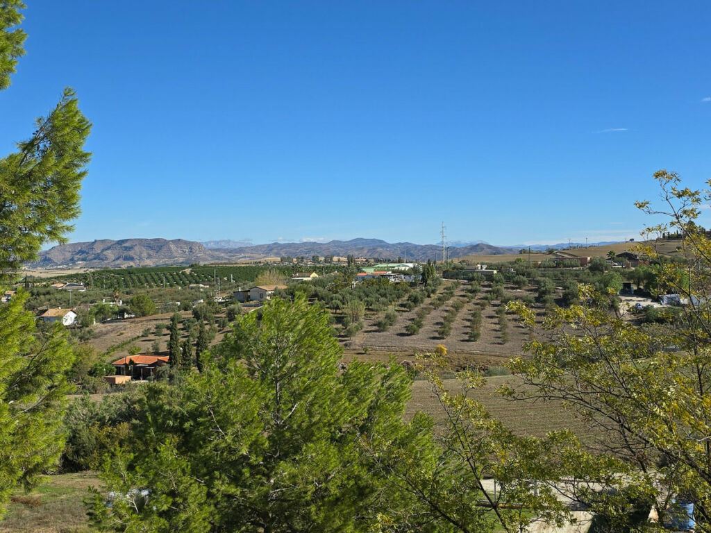 Finca - Cortijo Coín Málaga - image 21