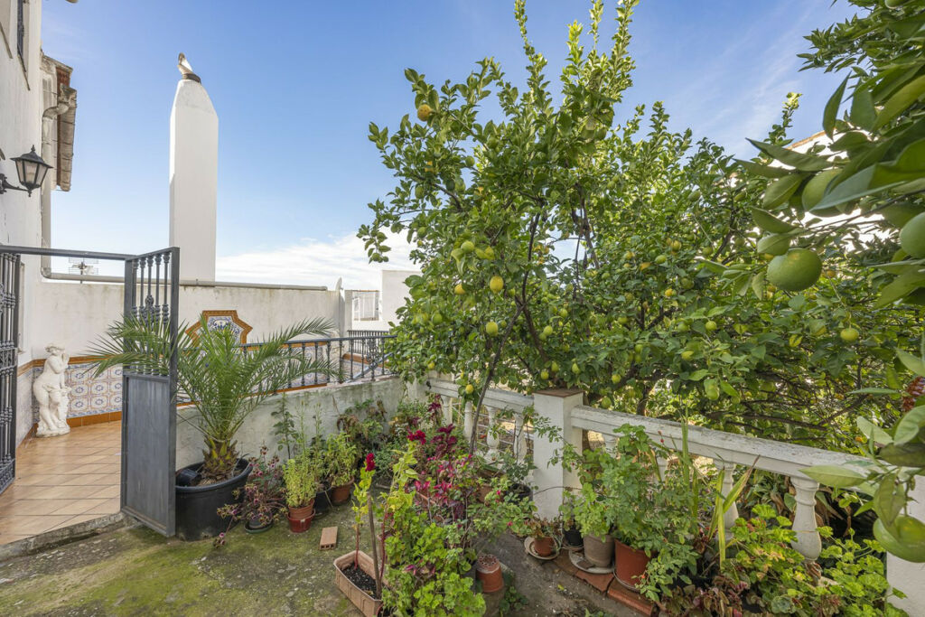 Townhouse Gaucín Málaga - zdjęcie 35