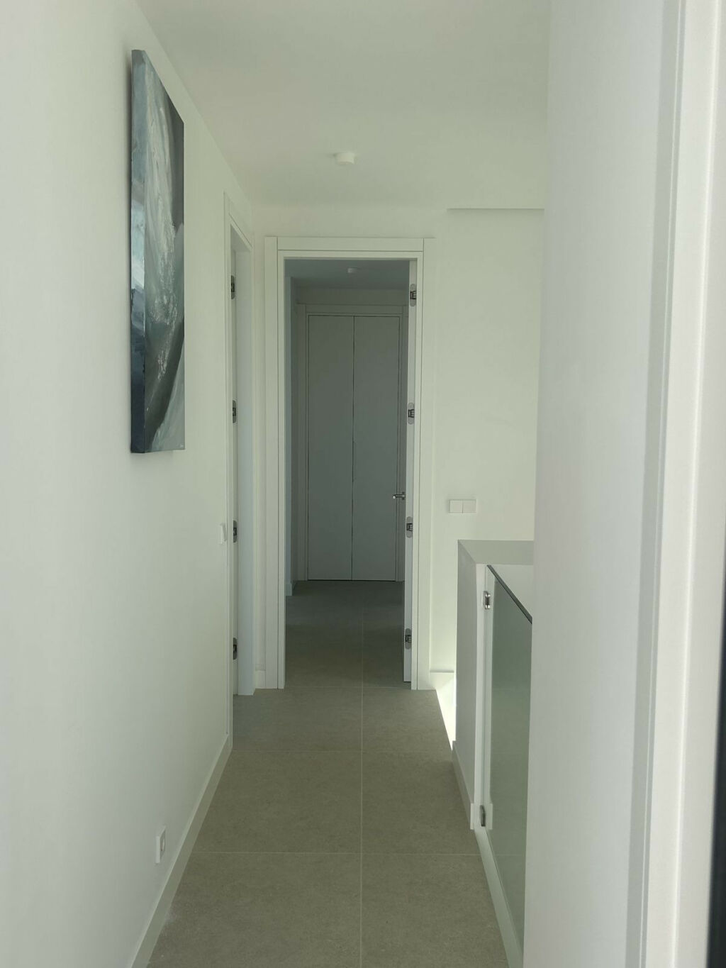 Detached Villa Río Real Málaga - image 21