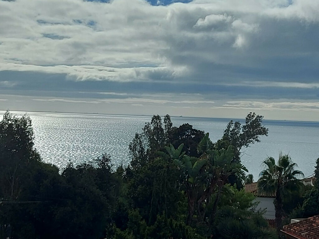 Detached Villa Manilva Málaga - image 24