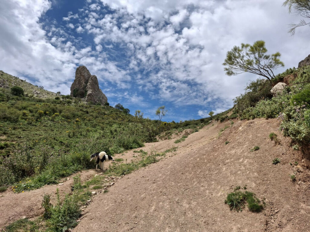 Land Alfarnatejo Málaga - image 19