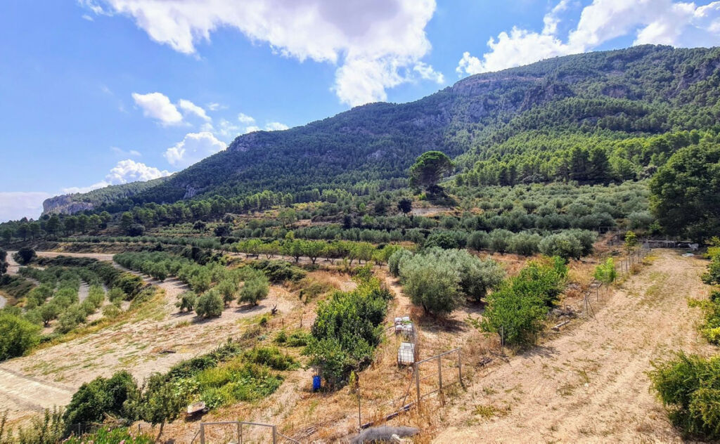 Finca - Cortijo Muro de Alcoy Alicante - image 22