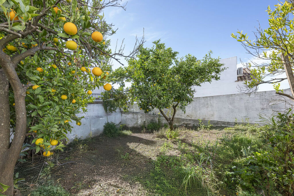 Townhouse Gaucín Málaga - zdjęcie 36