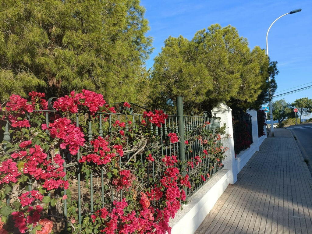 Detached Villa Gran Alacant Alicante - image 24