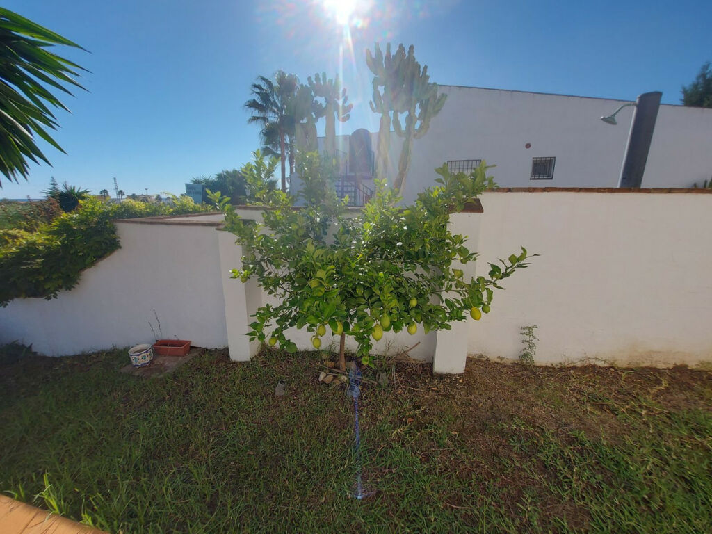 Detached Villa La Duquesa Málaga - image 25