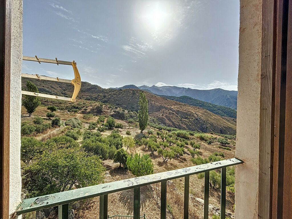 Detached Villa Alcaucín Málaga - image 26