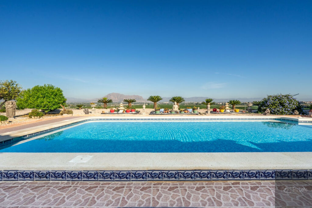 Detached Villa Benejuzar Alicante - image 28