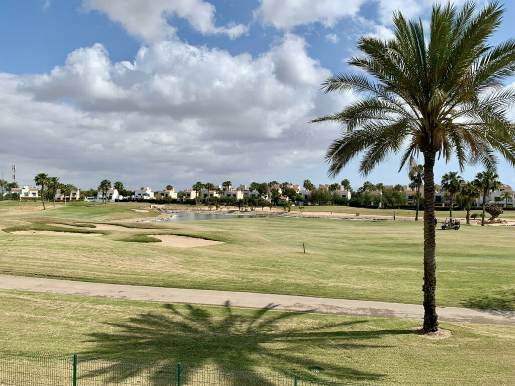 Detached Villa Roda Golf Murcia - image 28
