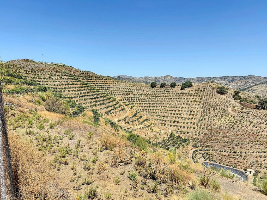 Land Cajiz Málaga - image 28