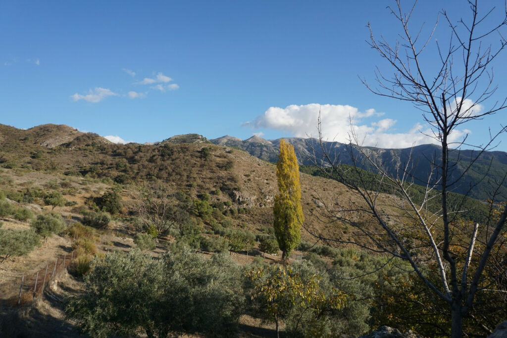 Detached Villa Alcaucín Málaga - image 28